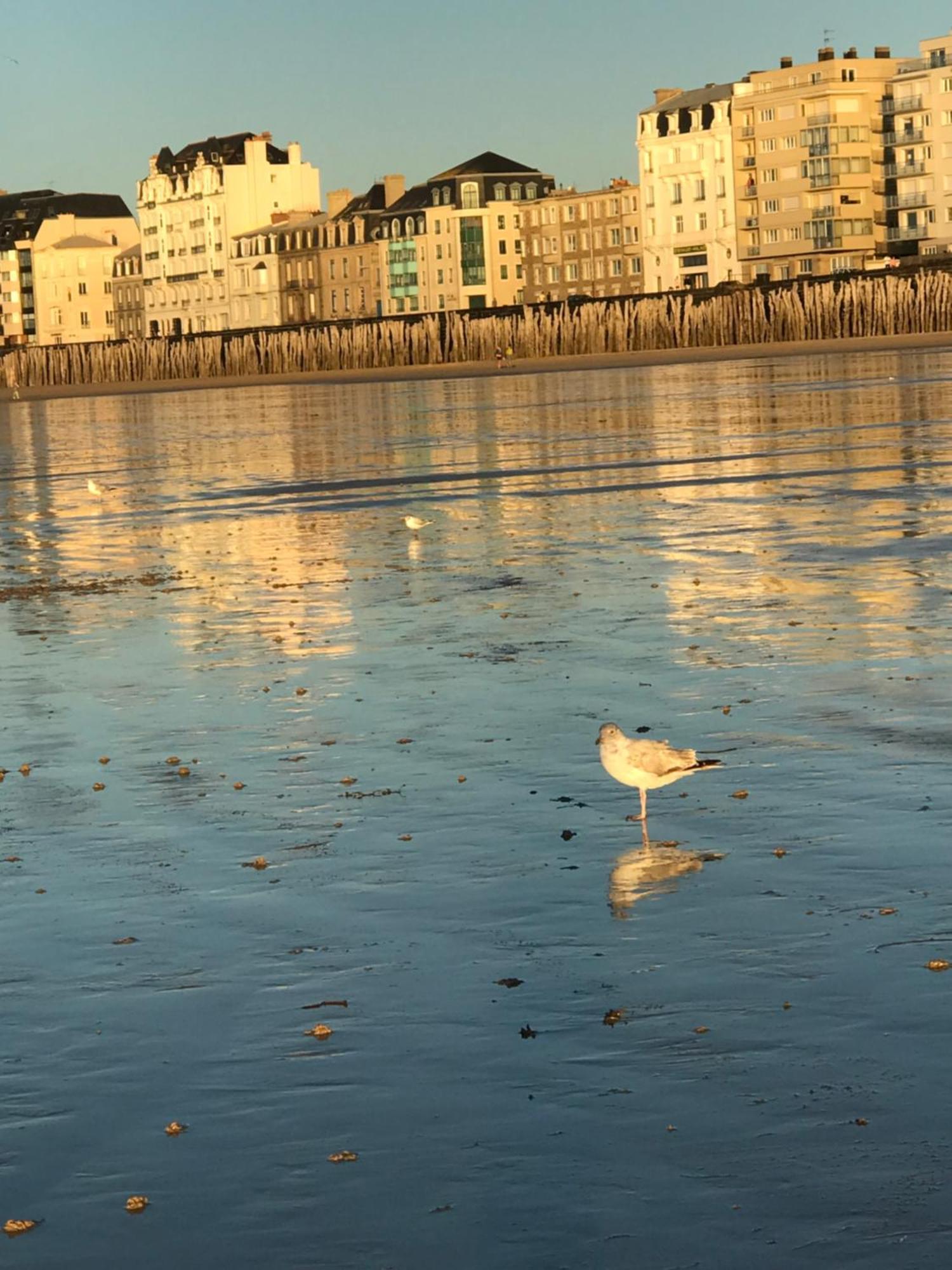 Grand Appartement Bretagne Saint Malo Intra Muros Zewnętrze zdjęcie